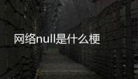 网络null是什么梗